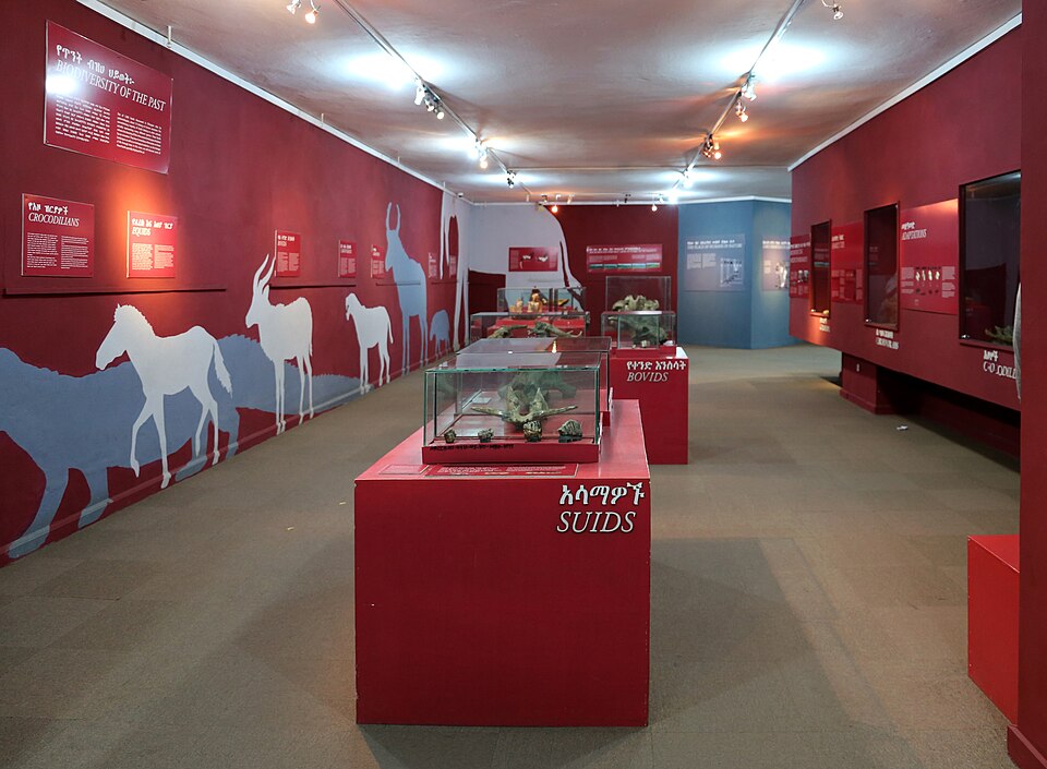 المتحف الوطني الأثيوبي