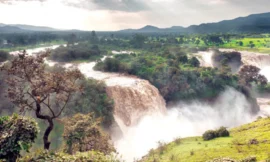 سياحة إثيوبيا …القصة التي رويت مؤخرا .. بقلم :  محمد بن عايض