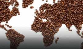 إثيوبيا وأوغندا تتفوقان على منافسيهما في صادرات القهوة العالمية