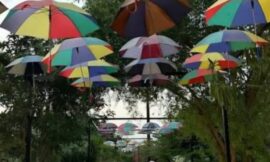 مزرعة غصن الريفية..حكاية التجربة الفريدة