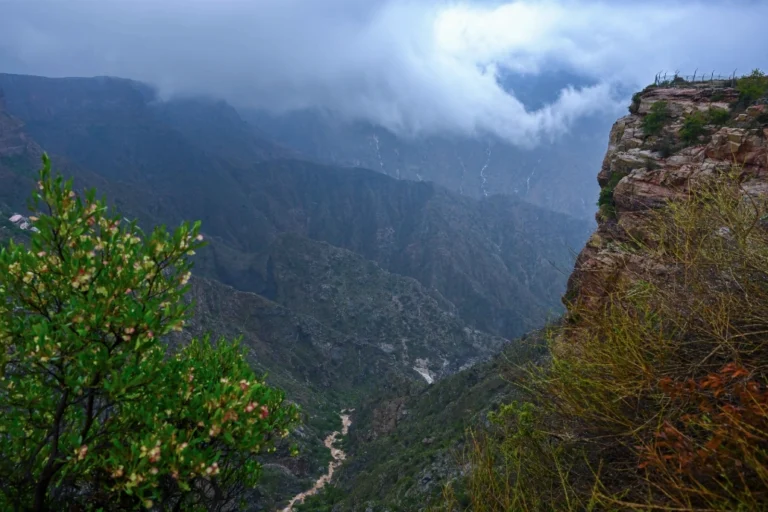 Read more about the article أجواء ساحرة في عسير وجيزان